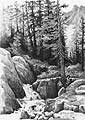 'Ansel Adams Trail' - graphite pencil drawing by Diane Wright