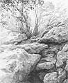 'Tehachapi Mountain Park' graphite pencil drawing by Diane Wright