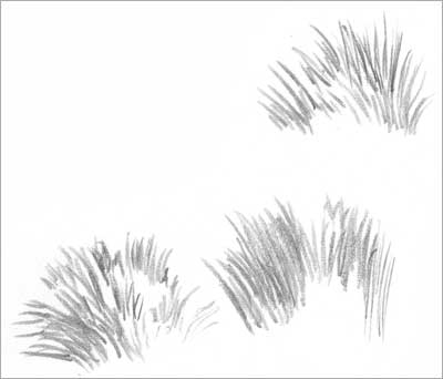 DRAWING GRASS and WEEDS tutorial (part 1) by Diane Wright
