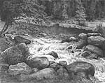 'Seven Mile Creek' graphite pencil drawing by Diane Wright