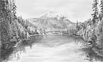 'Silver Reflections' - graphite pencil drawing by Diane Wright