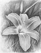 Nature artwork